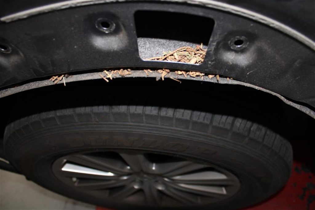 A close up of the tire on a car